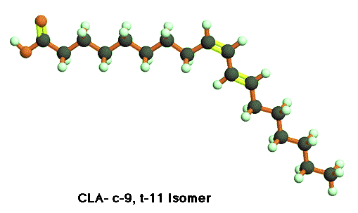 cla cis 9 trans 11