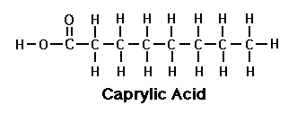 Caprylic Acid Structure