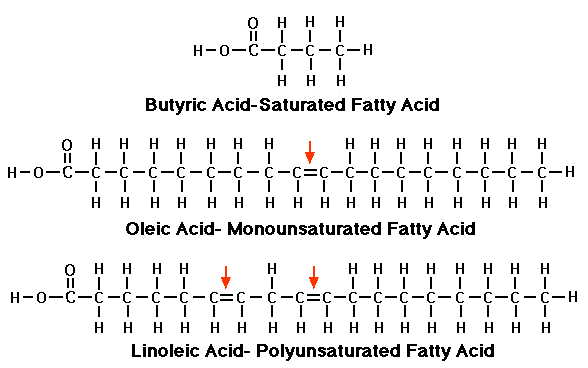 Saturated, Mono and Polyunsaturated fats