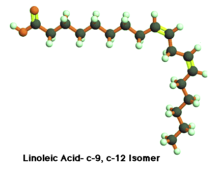 Linoleic Acid