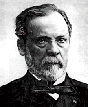 Louis Pasteur head shot