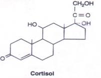 Cortisol molecule